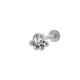 couleur argent Image19