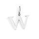 W-Couleur acier inoxydable Image45