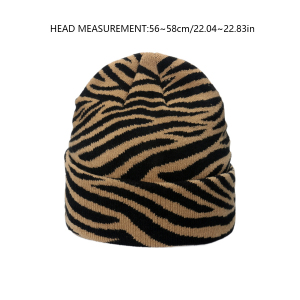 Bonnet Tricoté À Rayures Zèbres Rétro (1 Pièce) h5 Image4