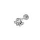 couleur argent Image15