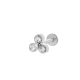 couleur argent Image13