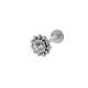 couleur argent Image20