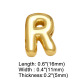 R Image29