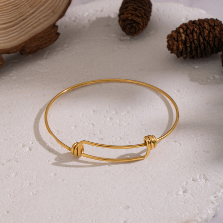 Bracelet jonc décontracté torsadé en acier inoxydable étanche couleur or (1 pièce) 2