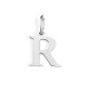 R-Couleur acier inoxydable Image35