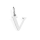 V-Couleur acier inoxydable Image43