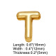 T Image31