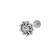 couleur argent Image21