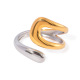 Couleur or et argent Image3