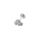 couleur argent Image2
