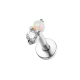 572-5# Protéine d'argent Image11