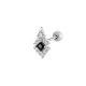 couleur argent