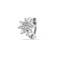 couleur argent Image7