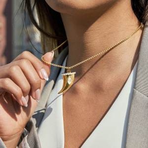 Colliers Pendentifs Pour Femmes En Acier Inoxydable, Forme Pimentée, Étanches, Couleur Or, Zircon h5 Image4
