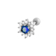 couleur argent Image5