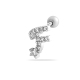 couleur argent Image6