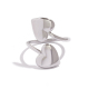 couleur argent Image2