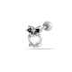 couleur argent Image4