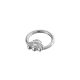 couleur argent Image3