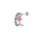 couleur argent Image6