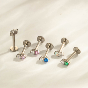 Boucles D'Oreilles Piercing Doubles Rondes En Alliage De Titane Couleur Or Avec Zircon Pour Femmes h5 Image6