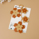 Orange Image3