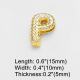 P Image23
