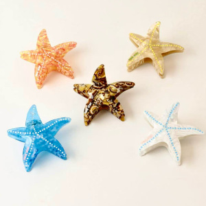 Pinces À Cheveux Pour Femmes En Acétate, Collection Romantic Series Vacation Star h5 Image2