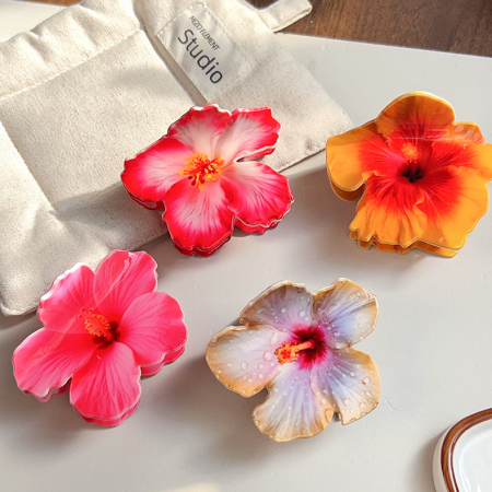 Pinces à cheveux pour femmes en PVC à motif floral mignon, collection romantique 2