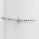 Argent J Image36