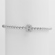 Argent B Image28