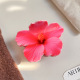 grandes fleurs rouges Image2