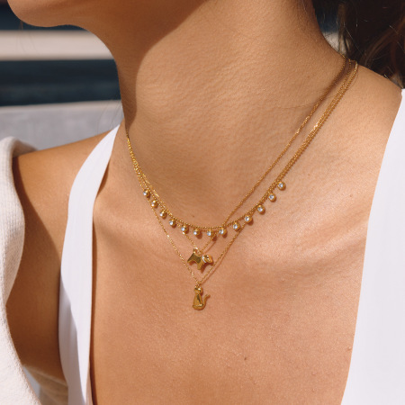 Colliers pendentifs pour femmes, motif chaton et chiot mignon, en acier inoxydable, étanches et anti-ternissement, couleur or 2