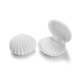 Blanc/D Image7