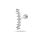 couleur argent Image20