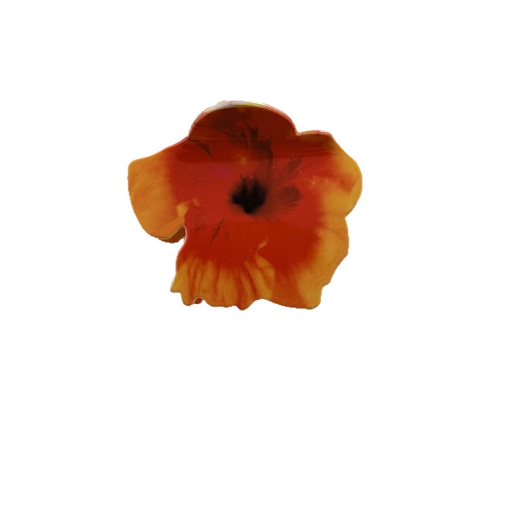 Pinces À Cheveux Pour Femmes En Pvc À Dégradé De Couleurs, Collection Romantique Sweet Flower Image5