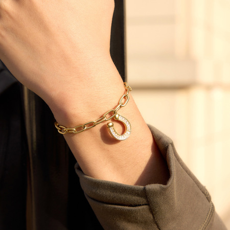Ensembles de colliers pour femmes en acier inoxydable imperméable, couleur or, en forme de fer à cheval et ornés de zircon. 2