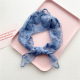 Bleu Image3