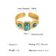 Bleu Image2