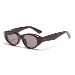 Lunettes De Soleil Pour Femmes Simple Series Retro À Dégradé De Couleurs Mixtes h5 Image2