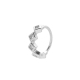 couleur argent Image4