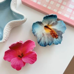 Pinces À Cheveux Pour Femmes En Pvc À Dégradé De Couleurs, Collection Romantique Sweet Flower h5 Image4