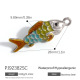 Style 5 Image5