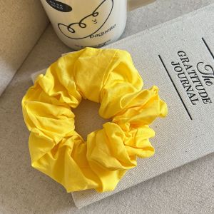 Chouchous Classiques En Tissu Uni Pour Femmes h5 Image2