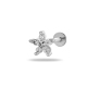 couleur argent Image2