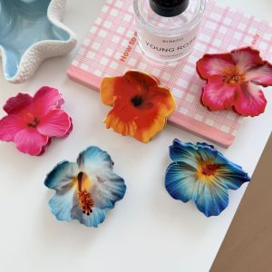 Pinces À Cheveux Pour Femmes En Pvc À Dégradé De Couleurs, Collection Romantique Sweet Flower h5 Image3