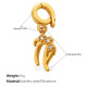Capricorn Image6