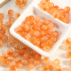 Orange vif Image7