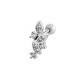 couleur argent Image6