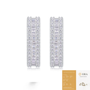 Boucles D'Oreilles En Moissanite S925 Pour Femmes, Collection Classique Cercle Luxueux h5